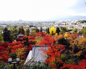 今年は紅葉狩り行けるかな。