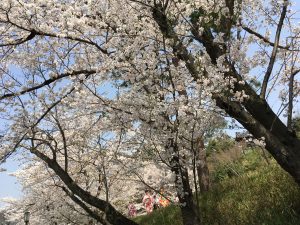 E44D9521-4527-4001-933B-A38A16D05C8E